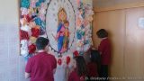 My Gallery (26/34)
